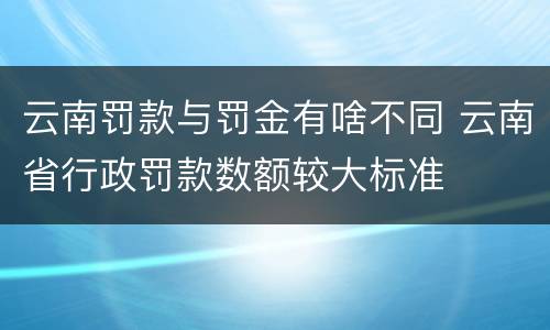 云南罚款与罚金有啥不同 云南省行政罚款数额较大标准