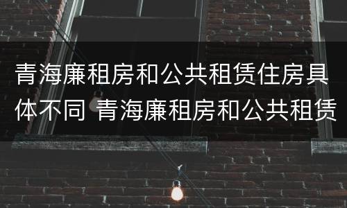青海廉租房和公共租赁住房具体不同 青海廉租房和公共租赁住房具体不同在哪