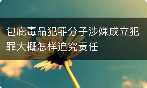 包庇毒品犯罪分子涉嫌成立犯罪大概怎样追究责任