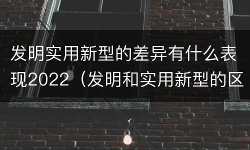 发明实用新型的差异有什么表现2022（发明和实用新型的区别）
