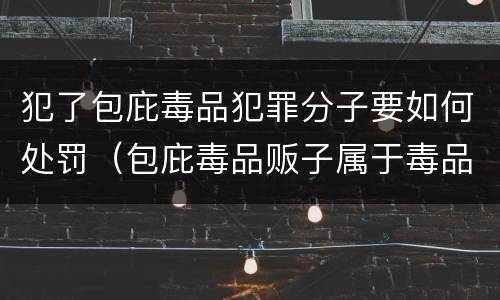 犯了包庇毒品犯罪分子要如何处罚（包庇毒品贩子属于毒品犯罪吗）