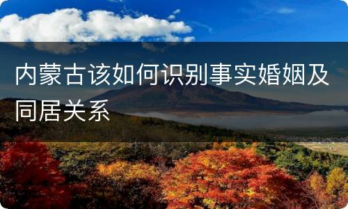 内蒙古该如何识别事实婚姻及同居关系