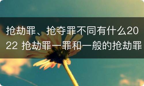 抢劫罪、抢夺罪不同有什么2022 抢劫罪一罪和一般的抢劫罪