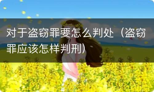 对于盗窃罪要怎么判处（盗窃罪应该怎样判刑）