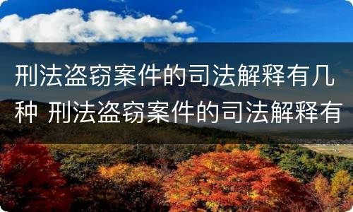 刑法盗窃案件的司法解释有几种 刑法盗窃案件的司法解释有几种形式