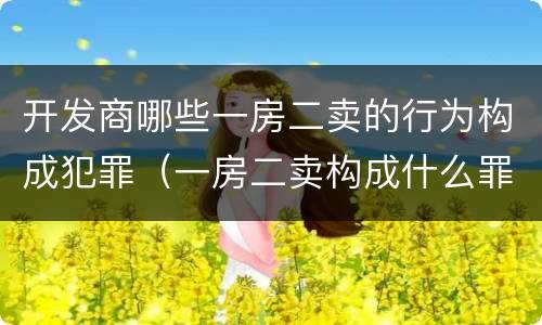 开发商哪些一房二卖的行为构成犯罪（一房二卖构成什么罪）