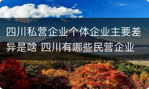 四川私营企业个体企业主要差异是啥 四川有哪些民营企业