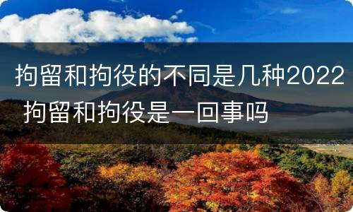 拘留和拘役的不同是几种2022 拘留和拘役是一回事吗