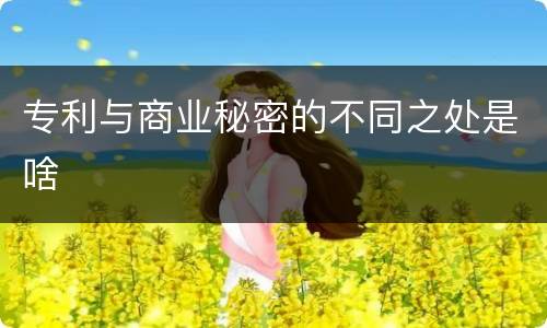 专利与商业秘密的不同之处是啥