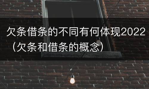欠条借条的不同有何体现2022（欠条和借条的概念）