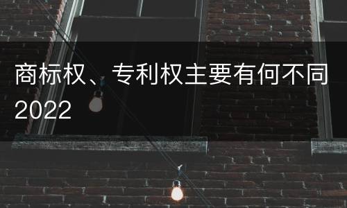 商标权、专利权主要有何不同2022