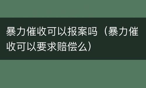 暴力催收可以报案吗（暴力催收可以要求赔偿么）