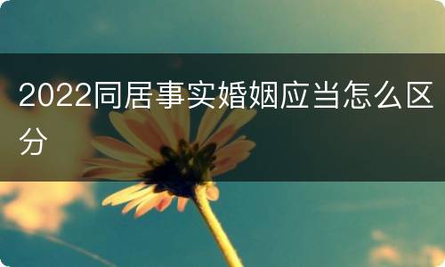 2022同居事实婚姻应当怎么区分