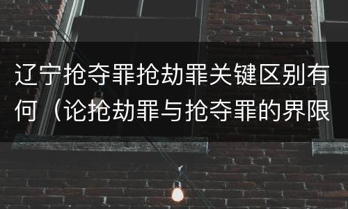 辽宁抢夺罪抢劫罪关键区别有何（论抢劫罪与抢夺罪的界限）