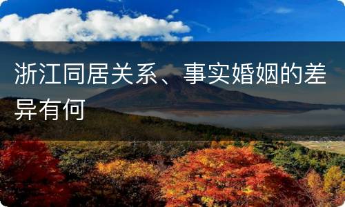 浙江同居关系、事实婚姻的差异有何