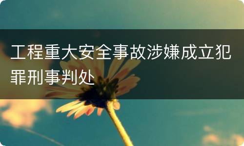 工程重大安全事故涉嫌成立犯罪刑事判处