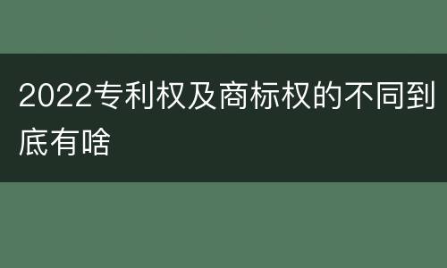 2022专利权及商标权的不同到底有啥