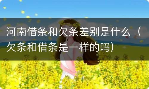河南借条和欠条差别是什么（欠条和借条是一样的吗）