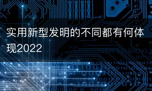 实用新型发明的不同都有何体现2022