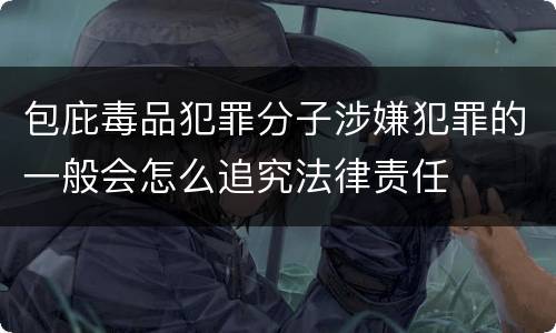 包庇毒品犯罪分子涉嫌犯罪的一般会怎么追究法律责任