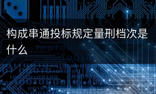 构成串通投标规定量刑档次是什么