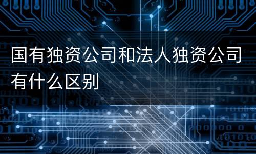 国有独资公司和法人独资公司有什么区别