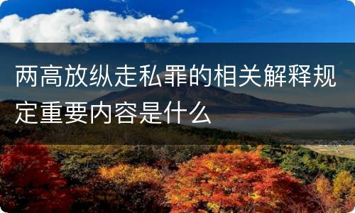 两高放纵走私罪的相关解释规定重要内容是什么