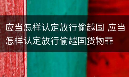 应当怎样认定放行偷越国 应当怎样认定放行偷越国货物罪