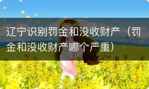 辽宁识别罚金和没收财产（罚金和没收财产哪个严重）