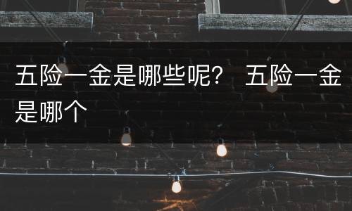 五险一金是哪些呢？ 五险一金是哪个