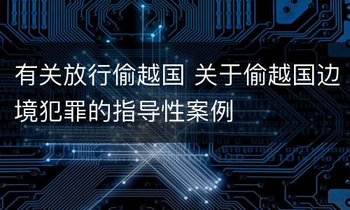 有关放行偷越国 关于偷越国边境犯罪的指导性案例