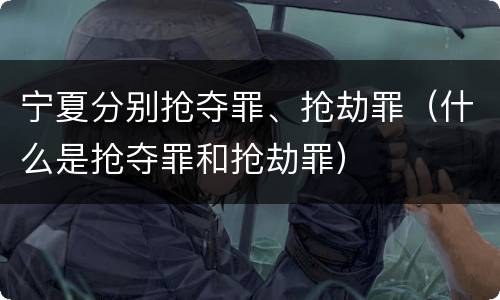 宁夏分别抢夺罪、抢劫罪（什么是抢夺罪和抢劫罪）