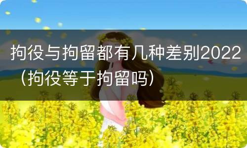 拘役与拘留都有几种差别2022（拘役等于拘留吗）