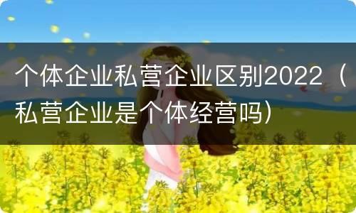 个体企业私营企业区别2022（私营企业是个体经营吗）