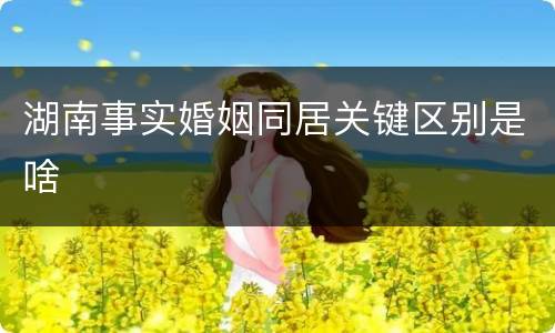 湖南事实婚姻同居关键区别是啥