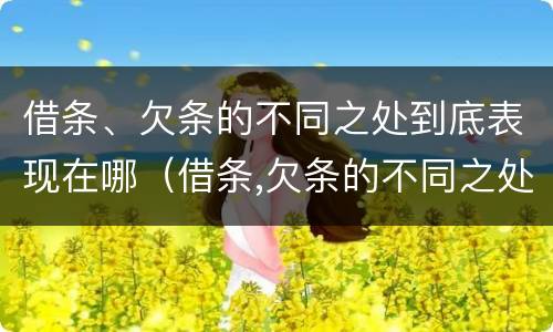 借条、欠条的不同之处到底表现在哪（借条,欠条的不同之处到底表现在哪些方面）