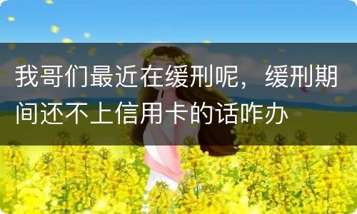 我哥们最近在缓刑呢，缓刑期间还不上信用卡的话咋办