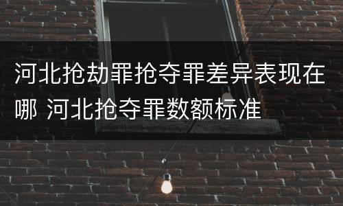 河北抢劫罪抢夺罪差异表现在哪 河北抢夺罪数额标准