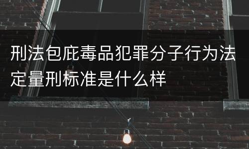 刑法包庇毒品犯罪分子行为法定量刑标准是什么样