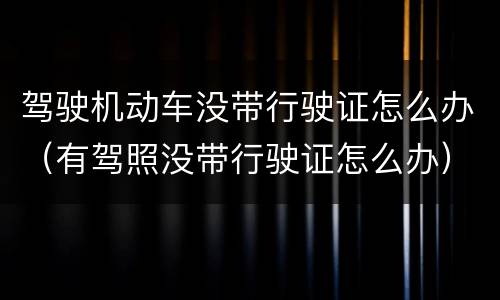 驾驶机动车没带行驶证怎么办（有驾照没带行驶证怎么办）