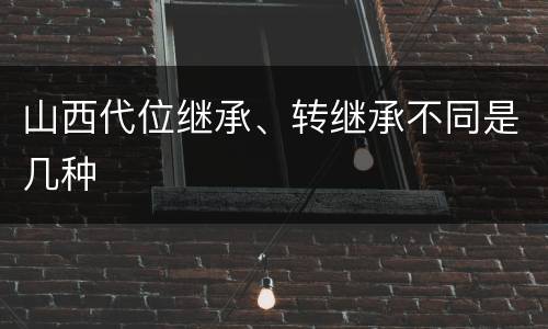 山西代位继承、转继承不同是几种