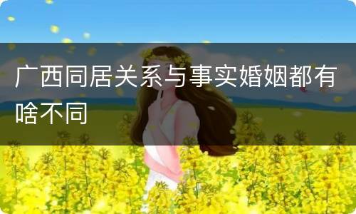 广西同居关系与事实婚姻都有啥不同