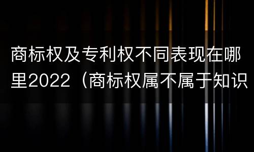 商标权及专利权不同表现在哪里2022（商标权属不属于知识产权）