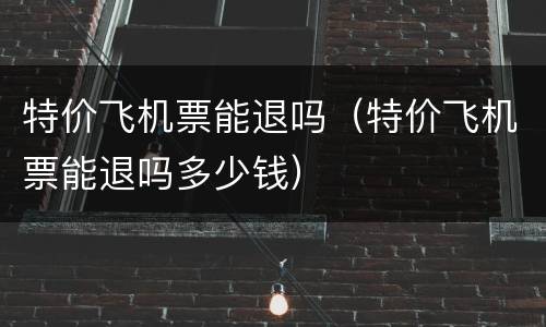 特价飞机票能退吗（特价飞机票能退吗多少钱）