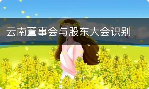 云南董事会与股东大会识别