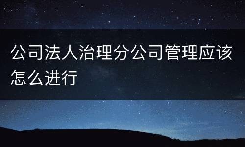 公司法人治理分公司管理应该怎么进行