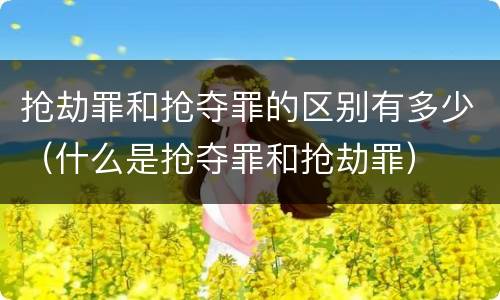 抢劫罪和抢夺罪的区别有多少（什么是抢夺罪和抢劫罪）