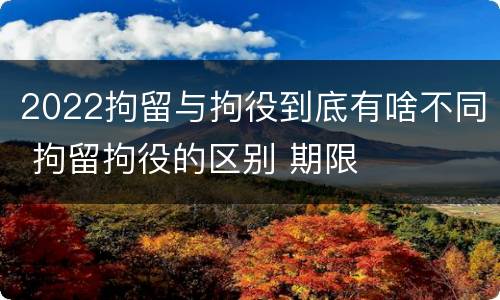 2022拘留与拘役到底有啥不同 拘留拘役的区别 期限