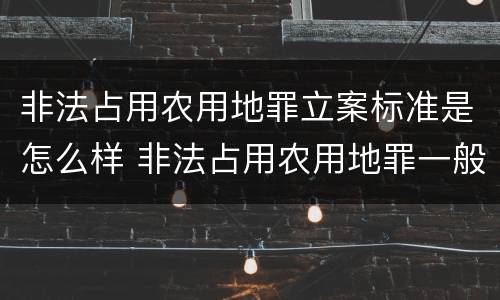 非法占用农用地罪立案标准是怎么样 非法占用农用地罪一般判几年