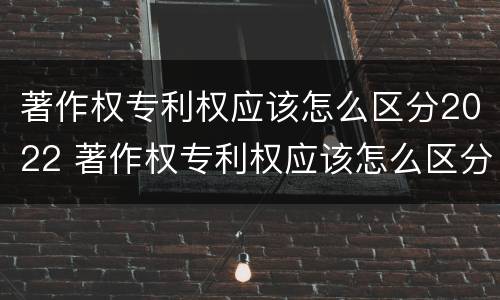 著作权专利权应该怎么区分2022 著作权专利权应该怎么区分2022年的